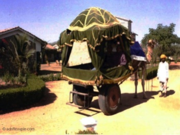 Camel Cart at Pushkar