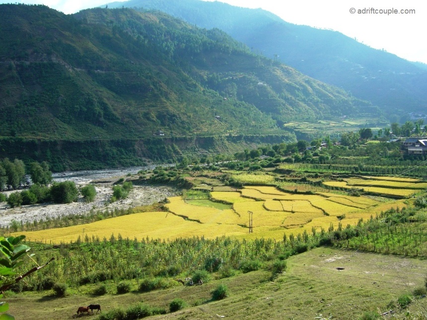 Chirgaon in Pabbar Valley, Himachal Pradesh.